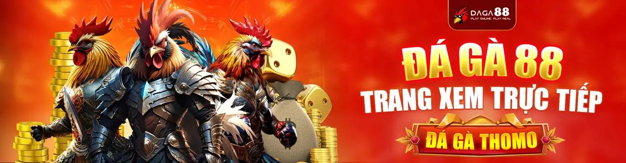 Trung tâm hỗ trợ b66 chính thức