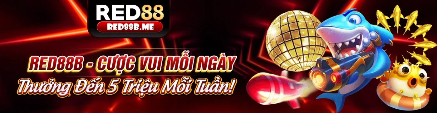 Nền tảng b66 chính thức an toàn và công bằng